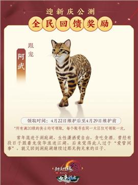 人气区天龙八部私服